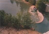 001987_1.jpg